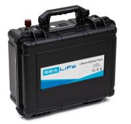 Аккумуляторная батарея SeaLife LiFePO4 12-100