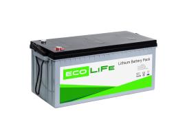 Аккумуляторная батарея EcoLiFe 24-135