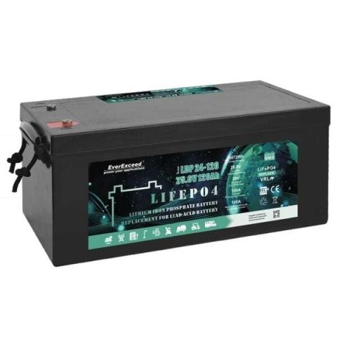 Аккумулятор EverExceed LDP 24-100 (25.6V100AH)