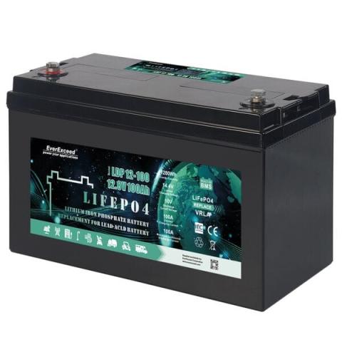 Аккумулятор EverExceed LDP 12-100 (12.8V100AH) с BLUETOOTH мониторингом